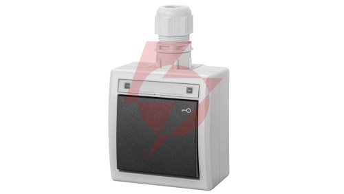 AQUANT 2K łącznik natynkowy zwierny klucz IP65 szary 5007-65