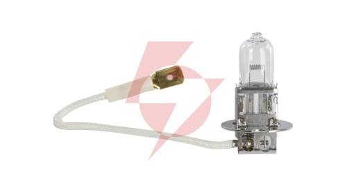 Żarówka samochodowa PK22s 24V H3 70W 64156 4050300016535