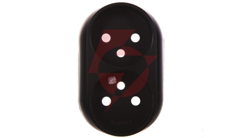VALENA ALLURE Plakietka gniazda podwójnego 2x2p+z czarny 753998