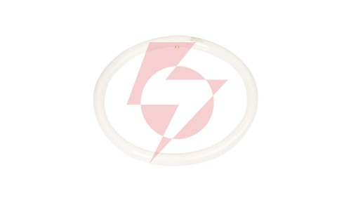 Świetlówka kołowa G10q 40W 840 4000K TLE 8711500284747