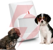 Satel czujnik ruchu pir+mw grey
