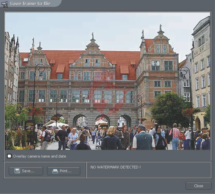 Alnet netstation licencja na 1 kanał wideo do ns 4