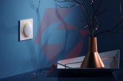 Przycisk walli switch fibaro fgwdseu-221