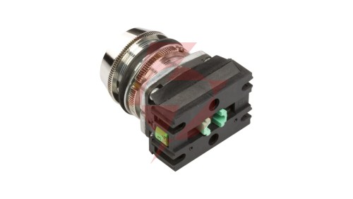 Przycisk sterowniczy 30mm zielony z samopowrotem 2Z W0-NEF30-UK 2X Z