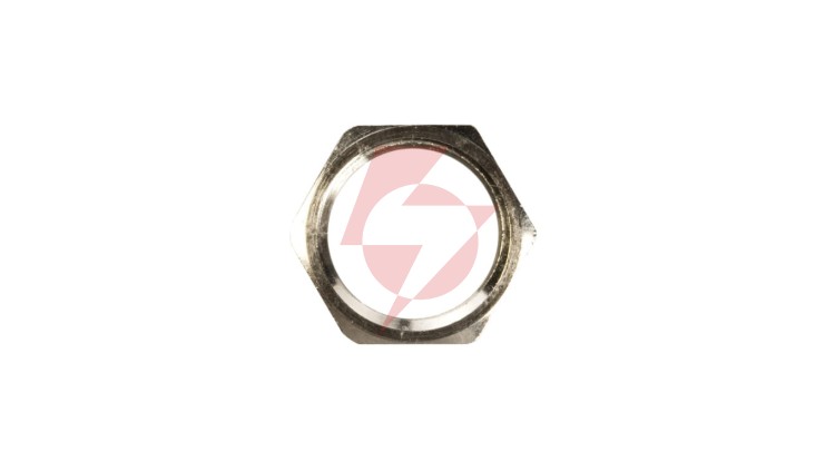 Nakrętka mosiężna PG9 SKINDICHT SM 9 52003500 /100szt./
