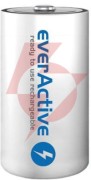 Akumulatorki d / r20 ni-mh everactive 10000mah professional line (box 2 szt.)