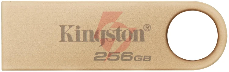 Pendrive kingston data traveler dtse9g3 256gb usb3.2 gen1