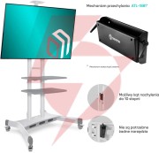 Mobilny stojak do tv 50"-86" do 90 kg onkron ts1881 biały