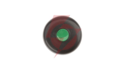 Przycisk sterowniczy 38mm zielony z samopowrotem 1Z 1R W0-N1-1UP Z