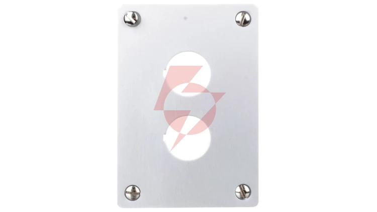 Płyta czołowa do montażu podtynkowego 2-otwory 22mm M22-E2 216543
