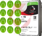 Dysk seagate ironwolf st1000vn008 1tb