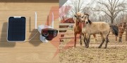 Kamera ip reolink duo series g750 lte akumulatorowa 6mp