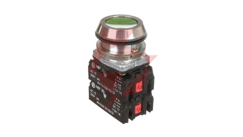 Przycisk sterowniczy 30mm zielony 2Z 2R z samopowrotem W0-NEF30-K 2X2Y Z