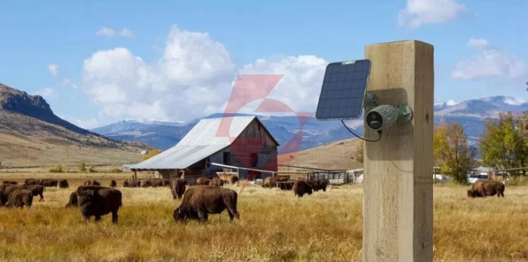 Kamera ip reolink go series g330 camuflage z panelem solarnym