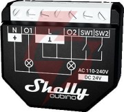 Shelly  wave 2pm