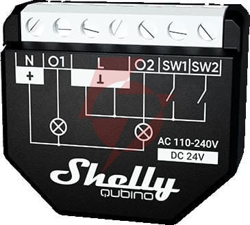 Shelly  wave 2pm