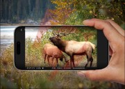Fotopułapka reolink camovue 8mp lte talon series s130