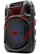 Głośnik mobilny squeak sq1006 30w radio fm czarny