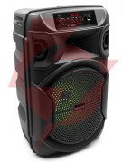 Głośnik mobilny squeak sq1006 30w radio fm czarny
