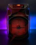 Głośnik mobilny squeak sq1006 30w radio fm czarny