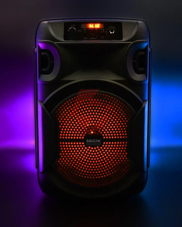 Głośnik mobilny squeak sq1006 30w radio fm czarny