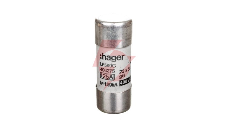 Wkładka bezpiecznikowa BiWtz cylindryczna 22x58mm 125A gG LF599G