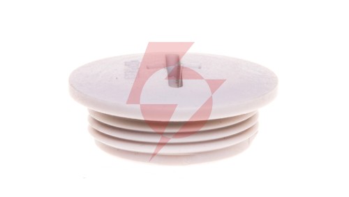 Zaślepka poliamidowa M25 IP54 SKINDICHT BLK-GL-M 25x1,5 jasnoszara 52006130