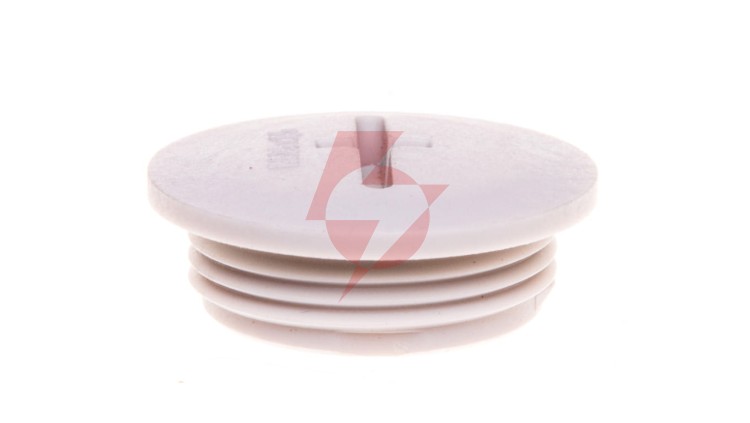 Zaślepka poliamidowa M25 IP54 SKINDICHT BLK-GL-M 25x1,5 jasnoszara 52006130