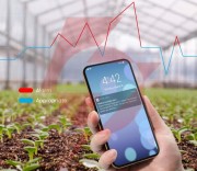 Govee h5075 termometr i higrometr bluetooth, wyświetlacz