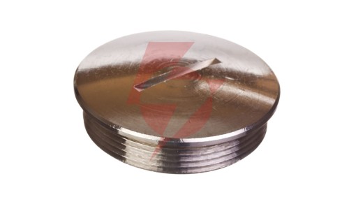 Zaślepka mosiężna M40 IP54 SKINDICHT BL-M 40x1,5 52103150
